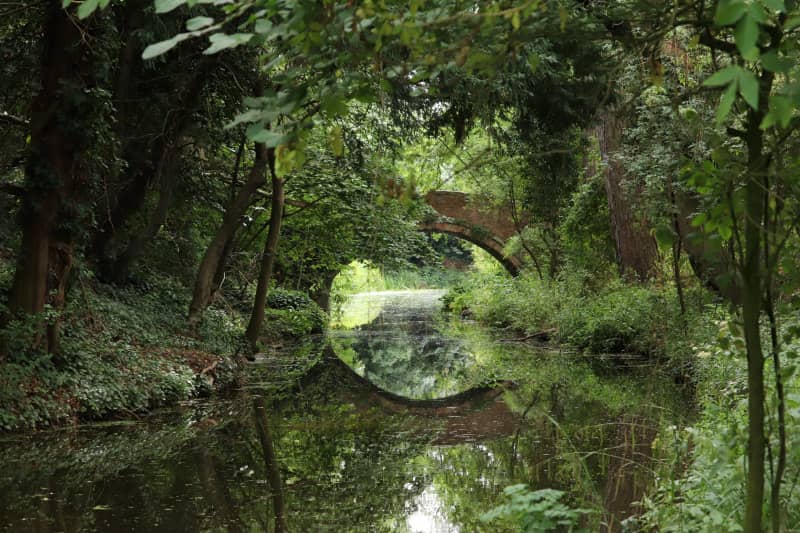 Swift Valley Nature Park  Rugby Warwickshire