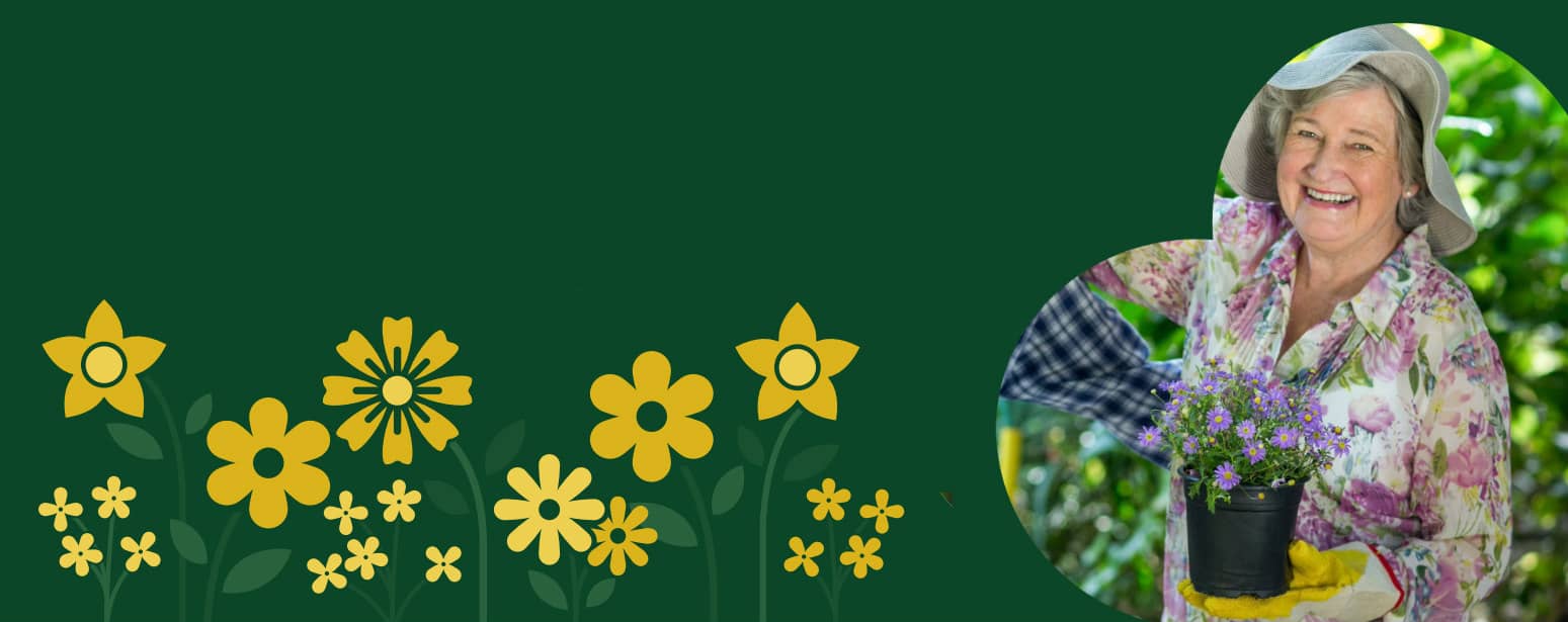 Smiling elderly woman gardening with colorful flowers